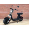 ЭЛЕКТРОСКУТЕР - ЭЛЕКТРОБАЙК CITYCOCO GT-X11