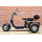 Электроскутер CityCoco TRIKE GT-X11(трехколесный)